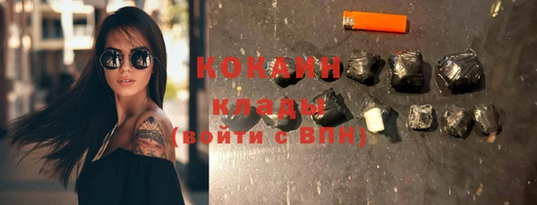 стафф Богданович